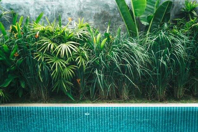 Jardin